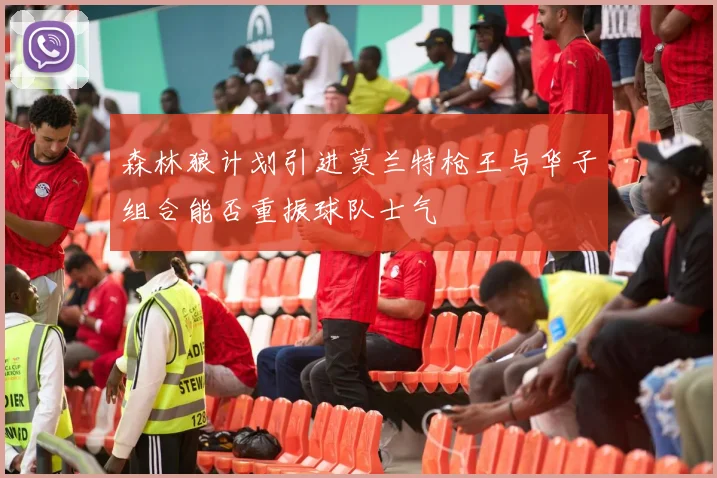 森林狼计划引进莫兰特枪王与华子组合能否重振球队士气