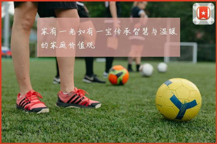 家有一老如有一宝传承智慧与温暖的家庭价值观
