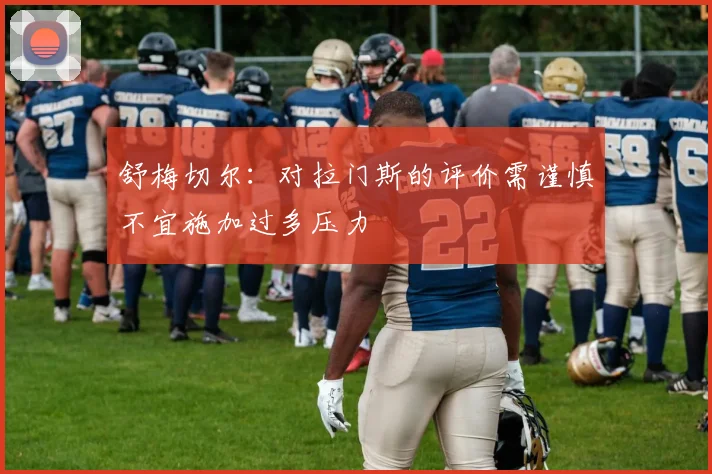 舒梅切尔：对拉门斯的评价需谨慎不宜施加过多压力