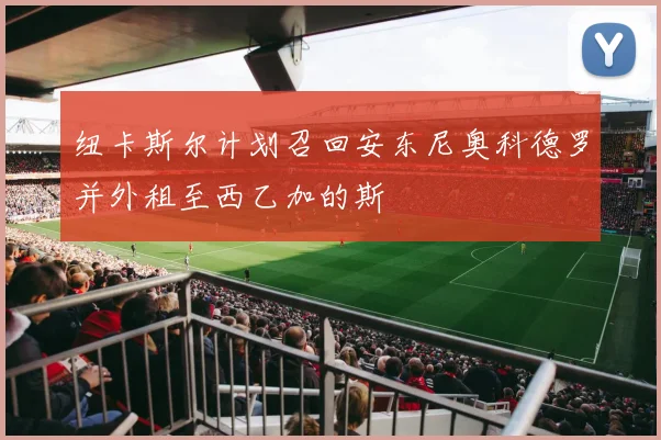 纽卡斯尔计划召回安东尼奥科德罗并外租至西乙加的斯